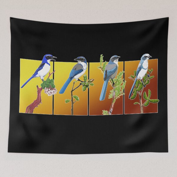 Item preview, Scrub-Jays designed and sold by BennuBirdy.