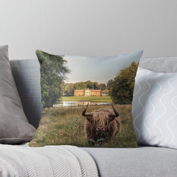 Item preview, Highland Cow at Avington Park, Hampshire designed and sold by NeilAlderney.