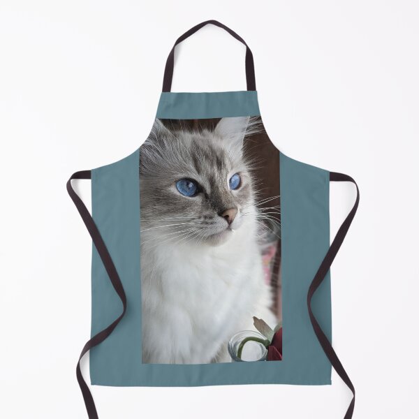 Item preview, Saoirse the lynx ragdoll designed and sold by Fluffycat2020.