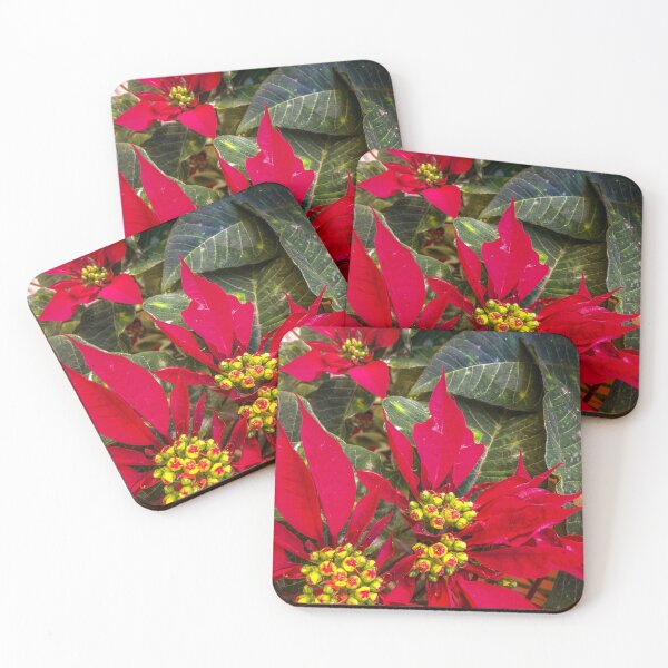 Item preview, Flor de Nochebuena designed and sold by Cat Calhoun.