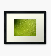 Leaf Macro Framed Print