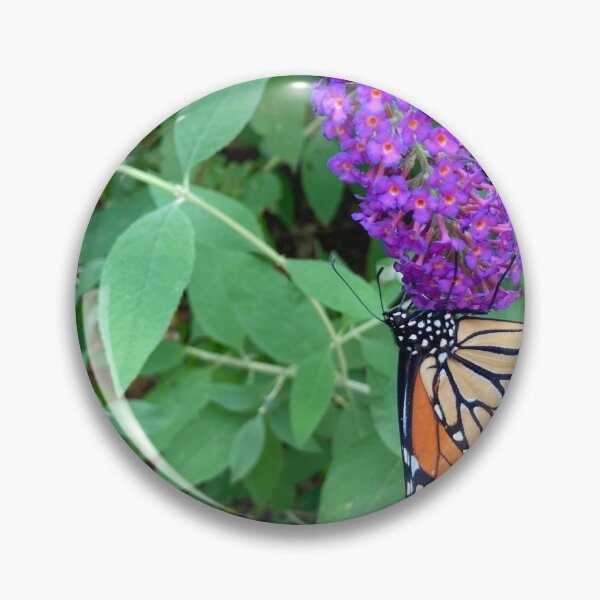 Item preview, Monarch butterfly on flower designed and sold by JuliVogel.