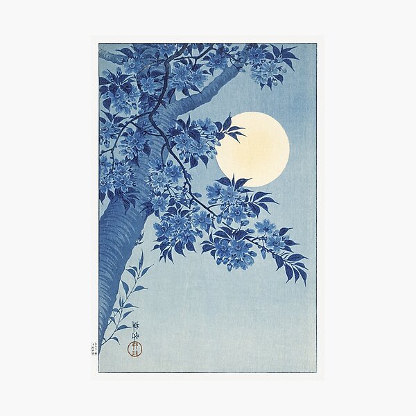 Item preview, Blossoming Cherry on a Moonlit Night by Ohara Koson - Japanese Vintage Artwork designed and sold by Purrfecta.