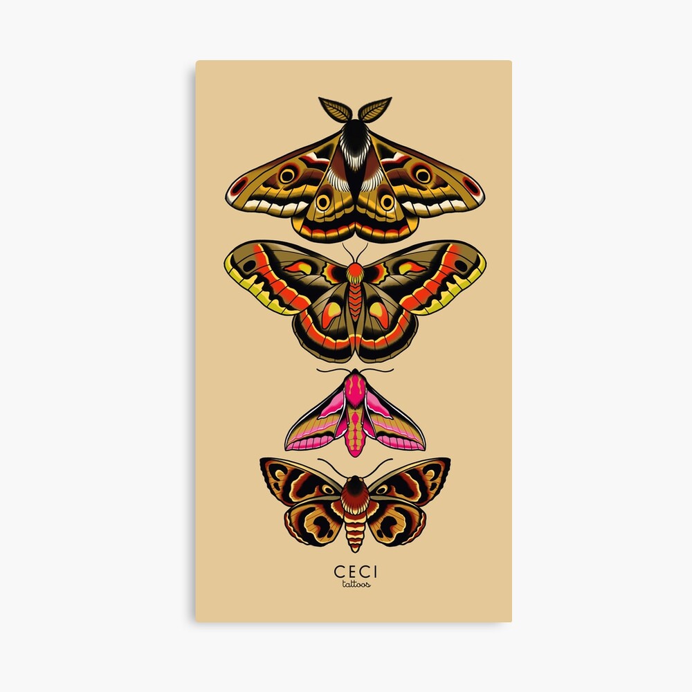 Who loves moth tattoos? 🦋 @garageink4224 @fkirons @starbritecolors  @kwadron #goldcoasttattoo #goldcoasttattooartist #garageink #... | Instagram
