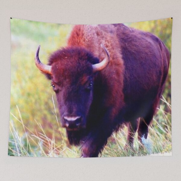 Item preview, Buffalo in North Dakota designed and sold by KR Art Studio.