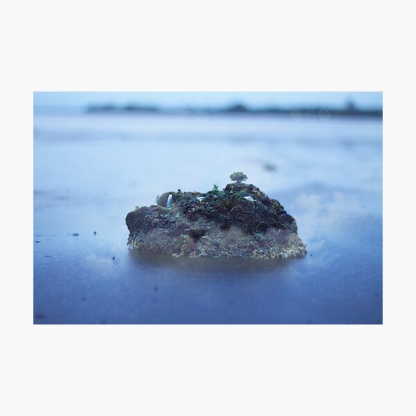 Little Island Photographic Print