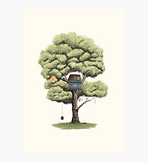 Tyre Swing Photographic Print