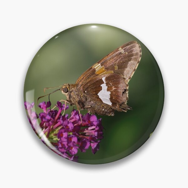 Item preview, The Silver-spotted Skipper designed and sold by Lanis Rossi.