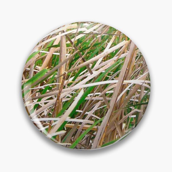 Item preview, Tall Grass designed and sold by bradm50.