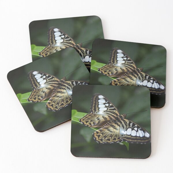 Item preview, Brown Clipper Butterfly... designed and sold by Poete100.