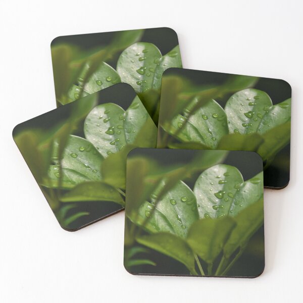 Item preview, Soaked Umbrella plant..... designed and sold by Poete100.