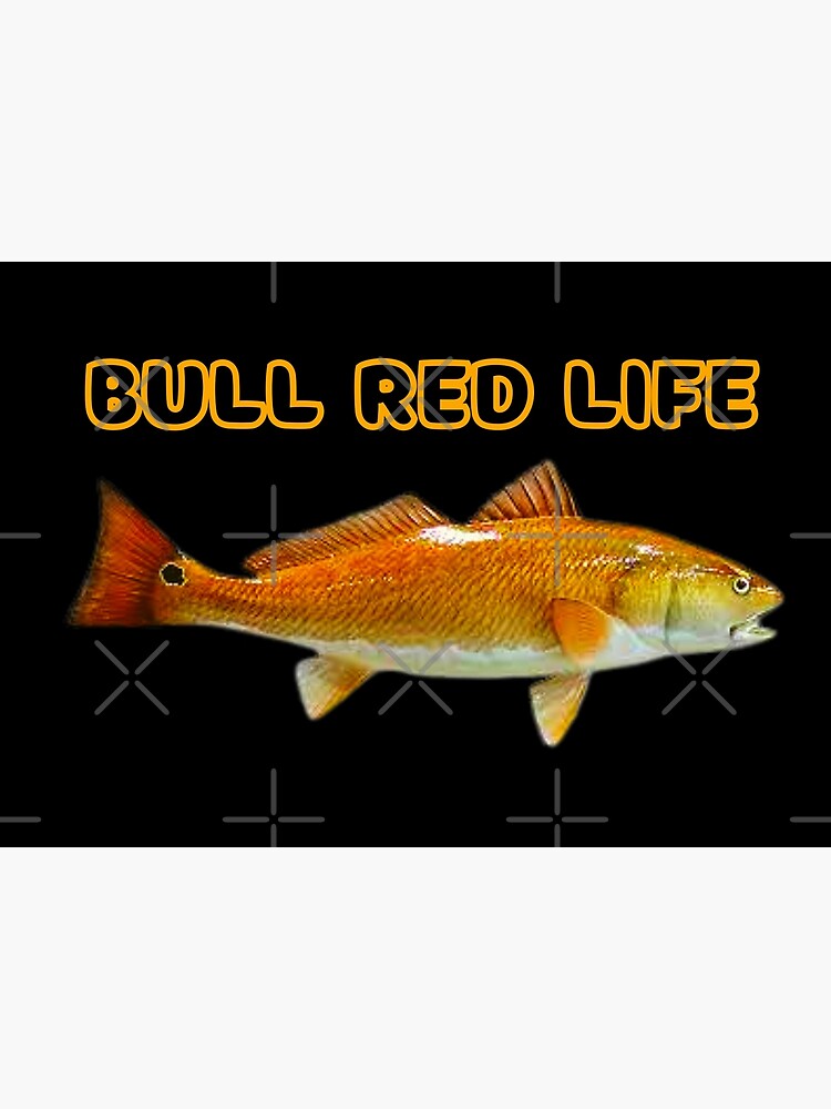 Redfish Spotted Drum Fishing Outer Banks Trophy Fish Carolina