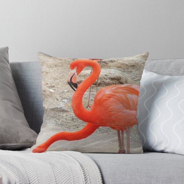 Item preview, Two Headed 3 Legged Flamingo designed and sold by Derek Lowe.
