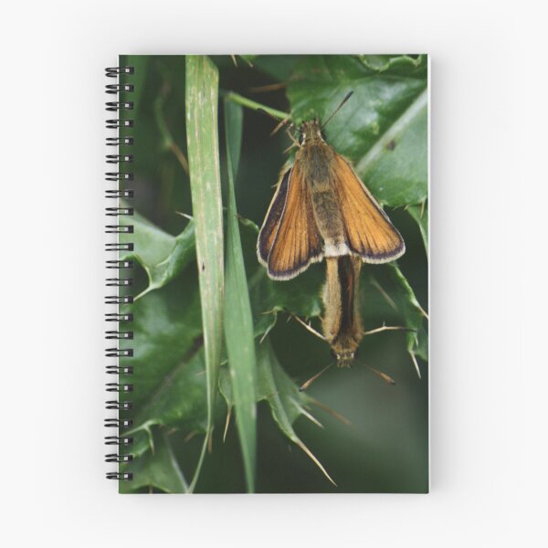 Item preview, Small Skipper Butterflies Mating designed and sold by Adrian Wale.