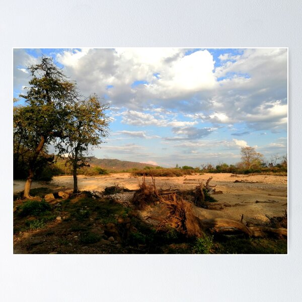 Item preview, Jim corbett national park photography  designed and sold by hellonamrata.