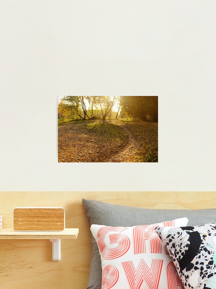 Thumbnail 2 of 3, Photographic Print, Golden Autumn designed and sold by Mallorn.