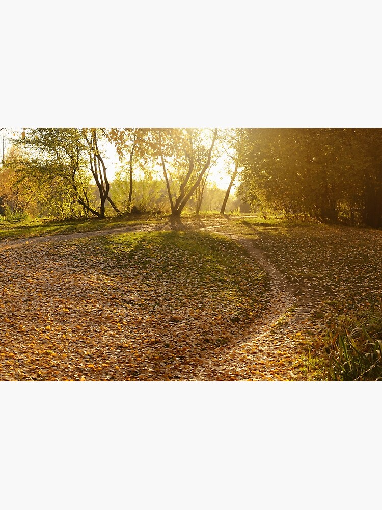 Thumbnail 3 of 3, Photographic Print, Golden Autumn designed and sold by Mallorn.