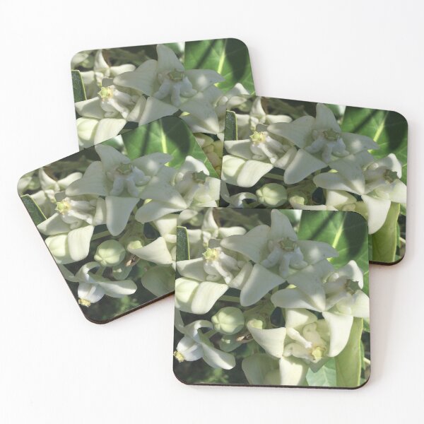 Item preview, White crown flower  designed and sold by Cheryl Camacho.