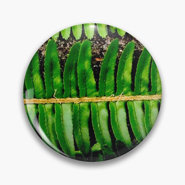 Item preview, Ferns 1 designed and sold by Geoff Treagus.