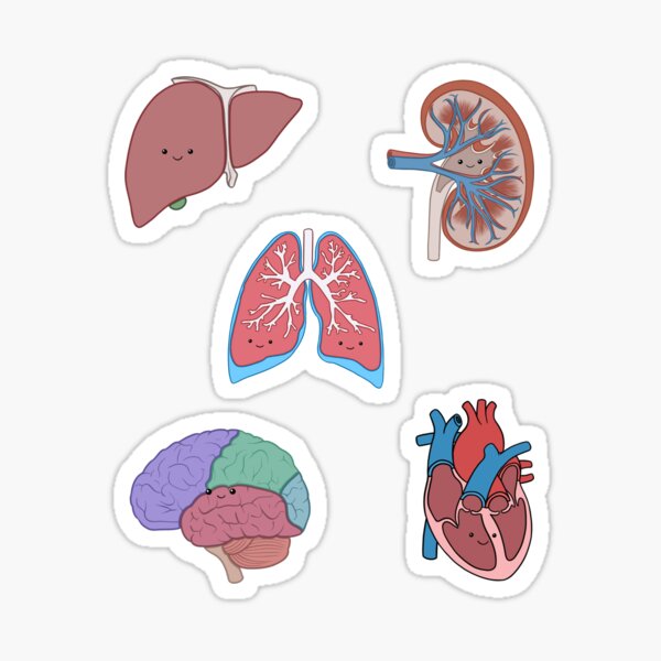 Cell Set Sticker for Sale by odetojoieee