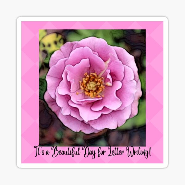 Pink Rose- It's a Beautiful Day for Letter Writing! Sticker