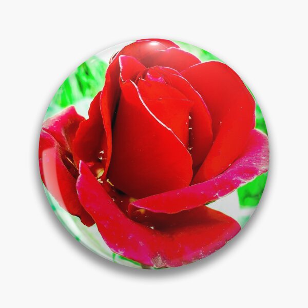 Item preview, Red Rose Green Leaves Photo designed and sold by artdesignbysam.