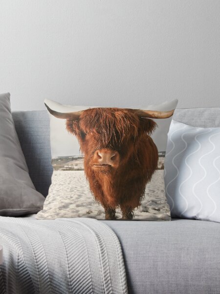 Item preview, Highland Cow in Snow designed and sold by cjdolfin.