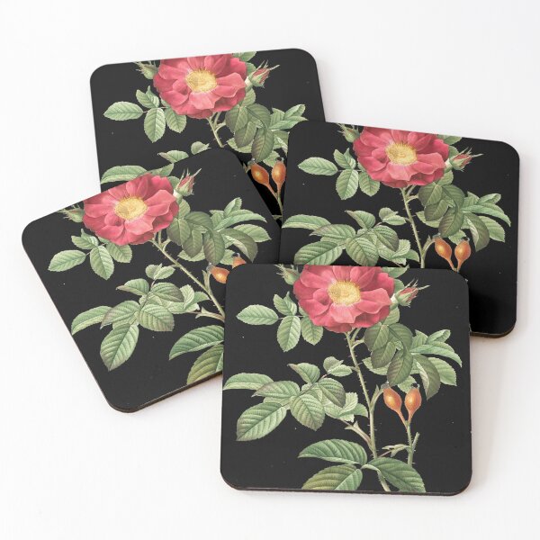 Item preview, Rosa Damascene Coccinea; Rosier de Portland 'Duchess of Portland' designed and sold by JOGENDRA1998.