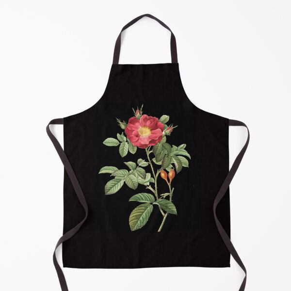 Item preview, Rosa Damascene Coccinea; Rosier de Portland 'Duchess of Portland' designed and sold by JOGENDRA1998.
