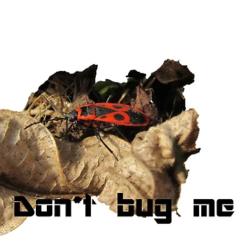 Artwork thumbnail, Bug by Ricisshop