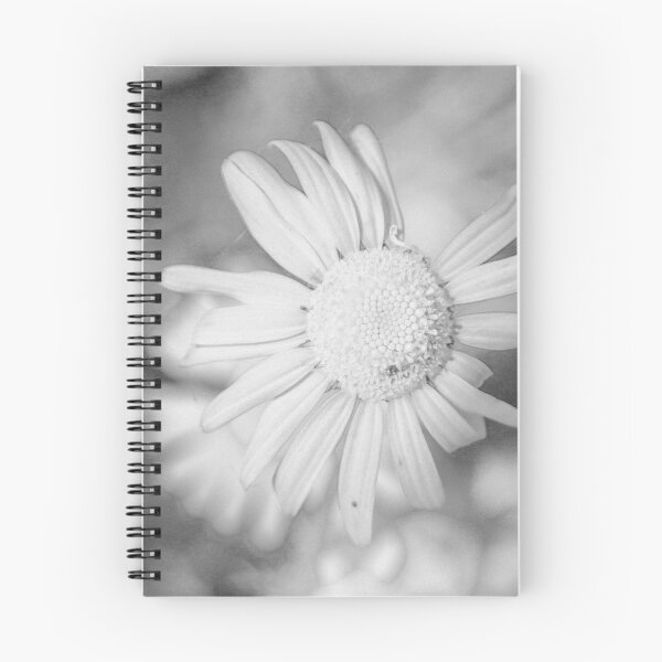 Artikelvorschau, Lächelndes Gänseblümchen entworfen und verkauft von GFPhotography.