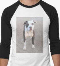 Hershey Men's Baseball ¾ T-Shirt