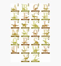 Dinosaur Alphabet Photographic Print