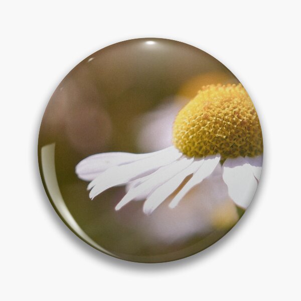 Aperçu de l'œuvre Marguerite de printemps créée et vendue par GFPhotography.