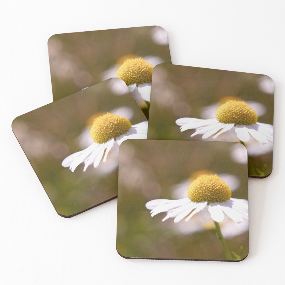 Item preview, Coasters (Set of 4) designed and sold by GFPhotography.
