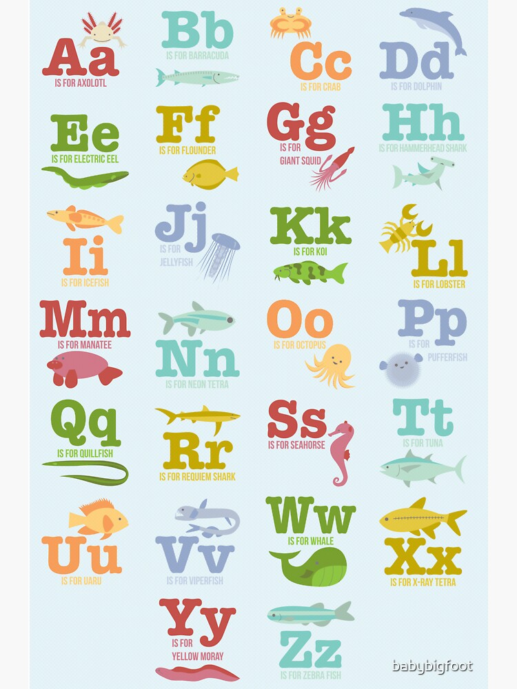 "Aquatic Animals Alphabet" Sticker By Babybigfoot | Redbubble