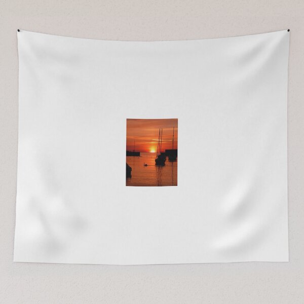 Item preview, Swan at sunrise  designed and sold by Aoife Mc Nulty.