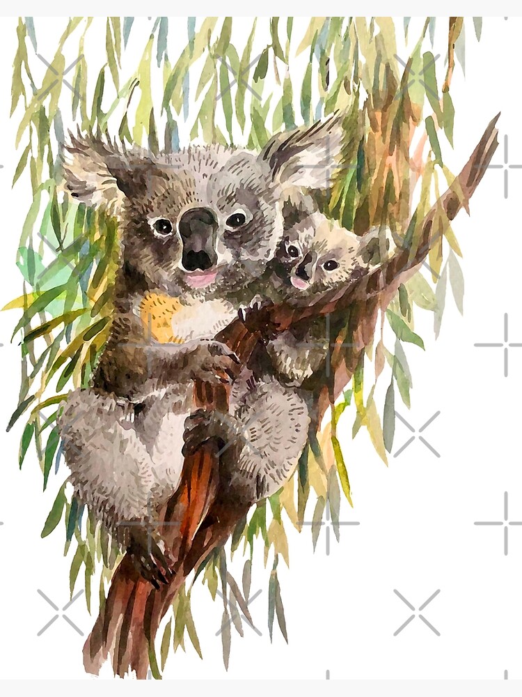 Koala, watercolor painting Art Board Print for Sale by