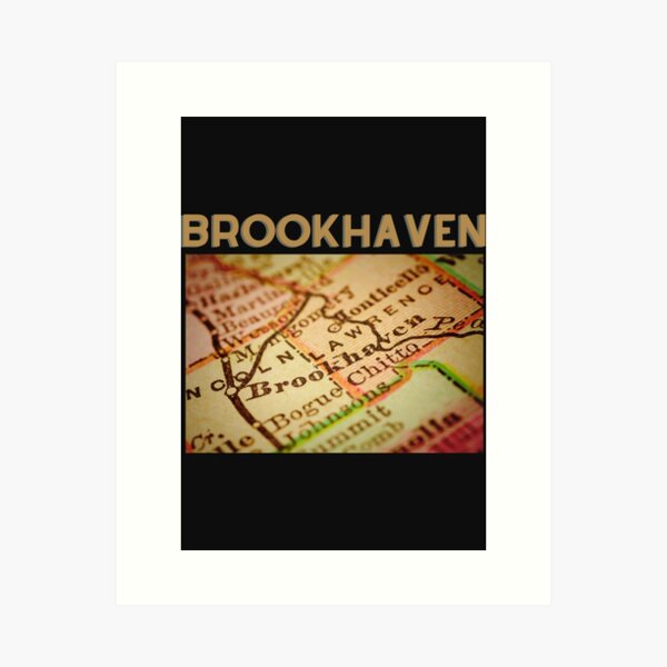 Brookhaven RP  30 Private servers (Working)