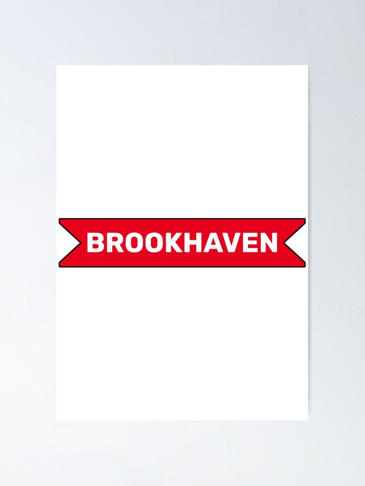 BROOKHAVEN RP VAI ACABAR? É O FIM DO BROOKHAVEN RP? VERDADE OU NÃO