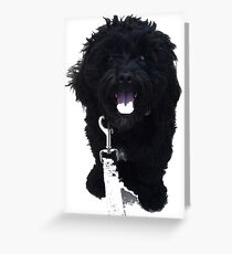 Bear the Lhasa Apso Greeting Card