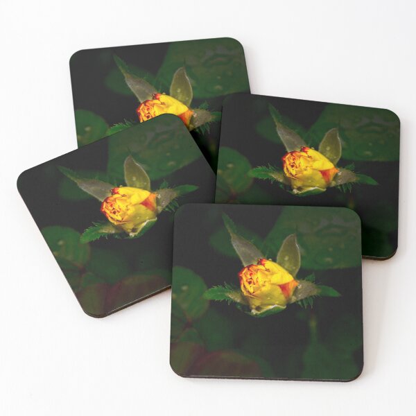 Item preview, Multi-Colored Rosebud designed and sold by alabca.