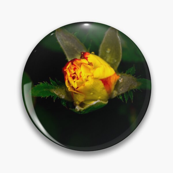 Item preview, Multi-Colored Rosebud designed and sold by alabca.