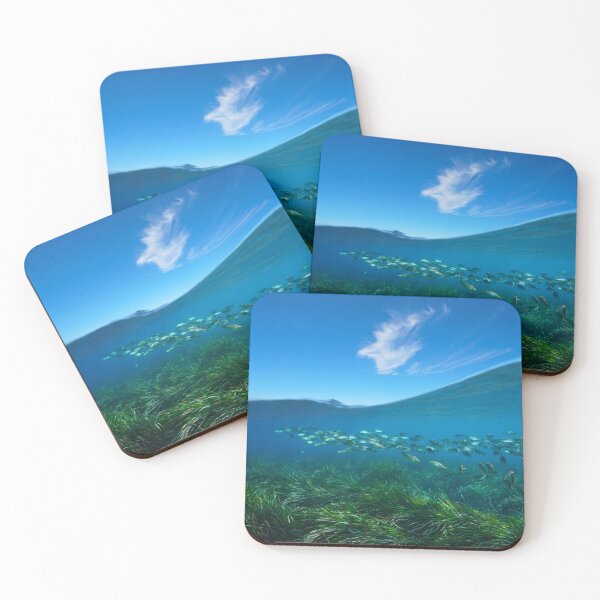 Item preview, Seagrass with fish underwater sea and blue sky over under water designed and sold by Seaphotoart.