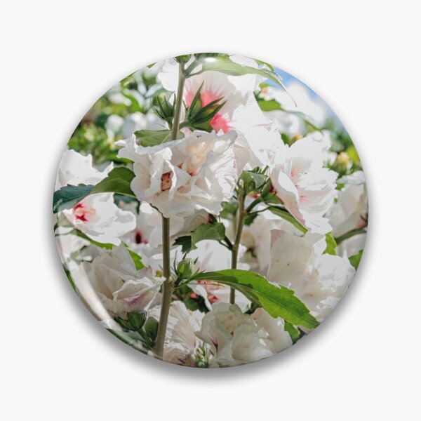 Item preview, Flowering hibiscus designed and sold by Photopat.