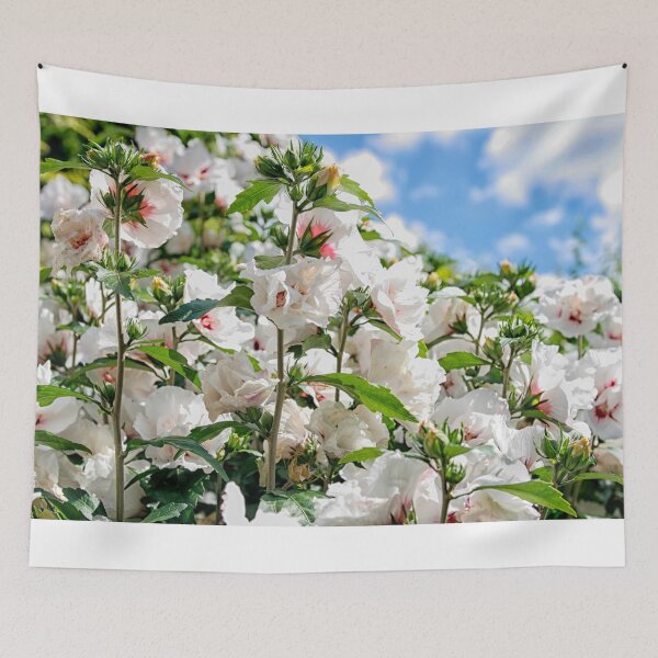 Item preview, Flowering hibiscus designed and sold by Photopat.