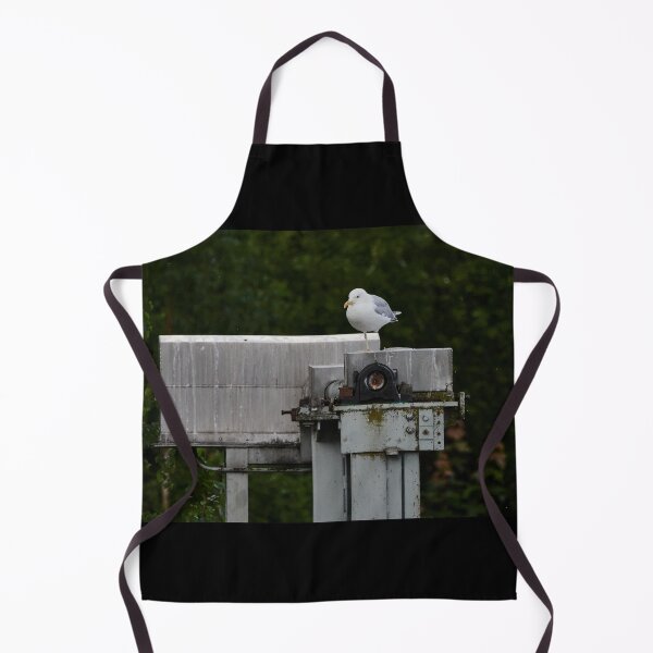 Item preview, On just one leg. European herring gull designed and sold by Jouko Lehto Photography.