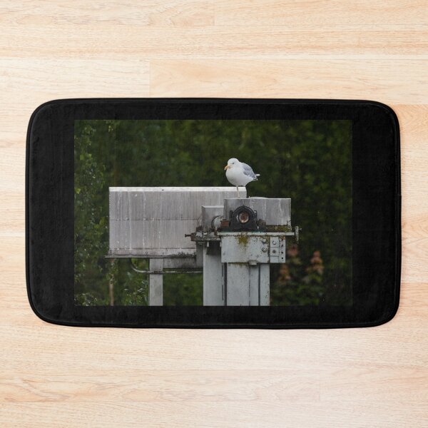 Item preview, On just one leg. European herring gull designed and sold by Jouko Lehto Photography.