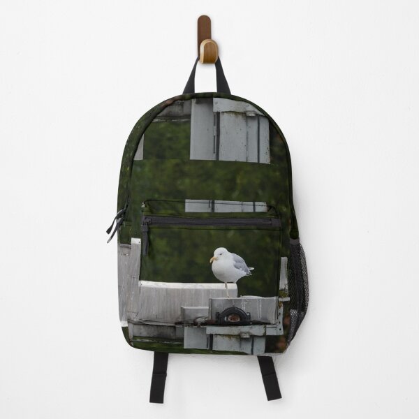 Item preview, On just one leg. European herring gull designed and sold by Jouko Lehto Photography.