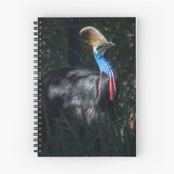 Item preview, The elusive Cassowary  designed and sold by JABTORStudios.